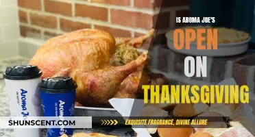 Aroma Joe's Thanksgiving Hours: Open or Closed?