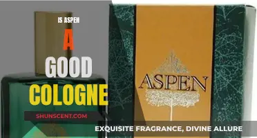 Aspen Cologne: Is It Worth the Hype?