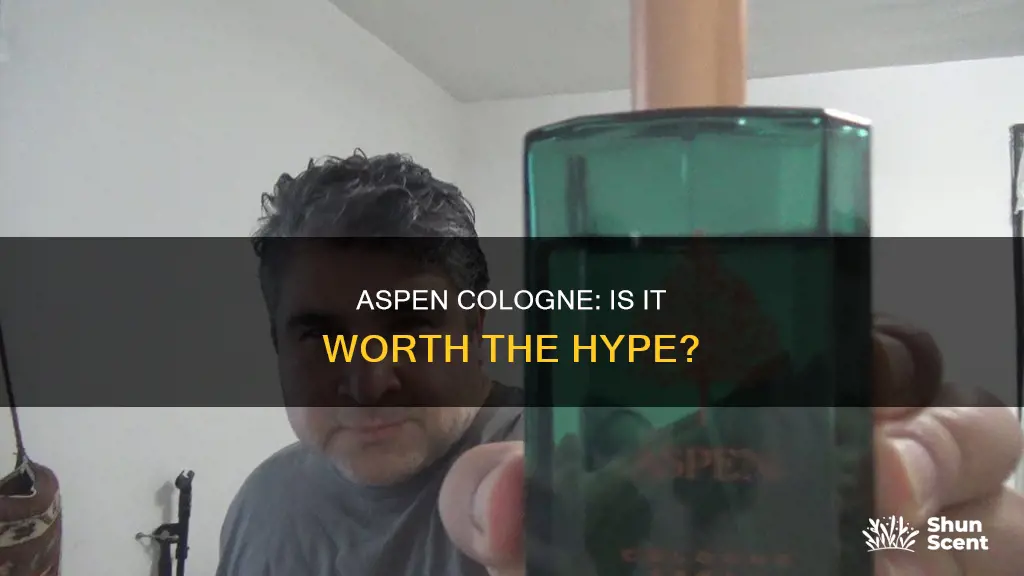 is aspen a good cologne