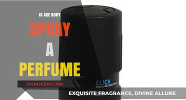Axe Body Spray: Perfume or Not?
