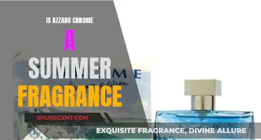 Azzaro Chrome: The Perfect Summer Fragrance?