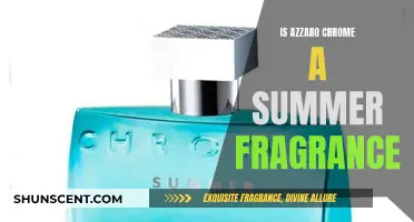 Azzaro Chrome: The Ultimate Summer Fragrance?
