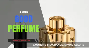 Azzaro: Is it a Good Perfume Choice?