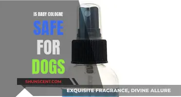 Are Baby Colognes Safe for Dogs to Smell?