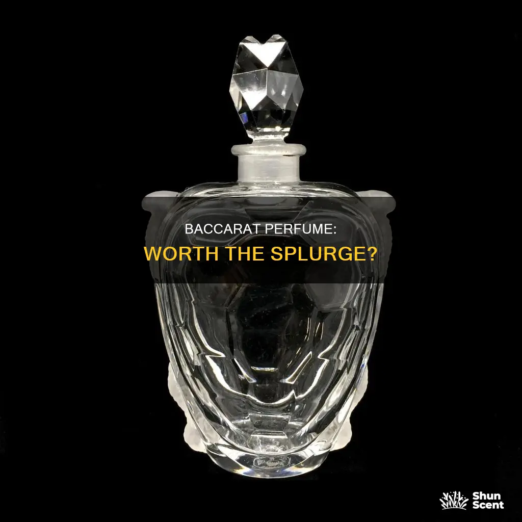 is baccarat perfume worth it