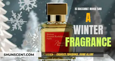 Baccarat Rouge 540: A Winter Fragrance or a Year-Round Classic?