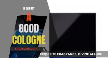 Bad Boy Cologne: Is it Worth the Hype?