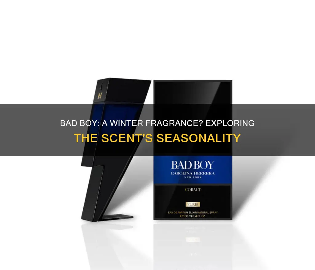 is bad boy a winter fragrance