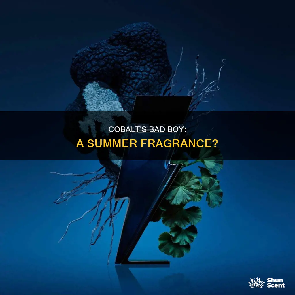 is bad boy cobalt a summer fragrance