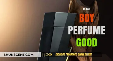 Bad Boy Perfume: Is it Worth the Hype?