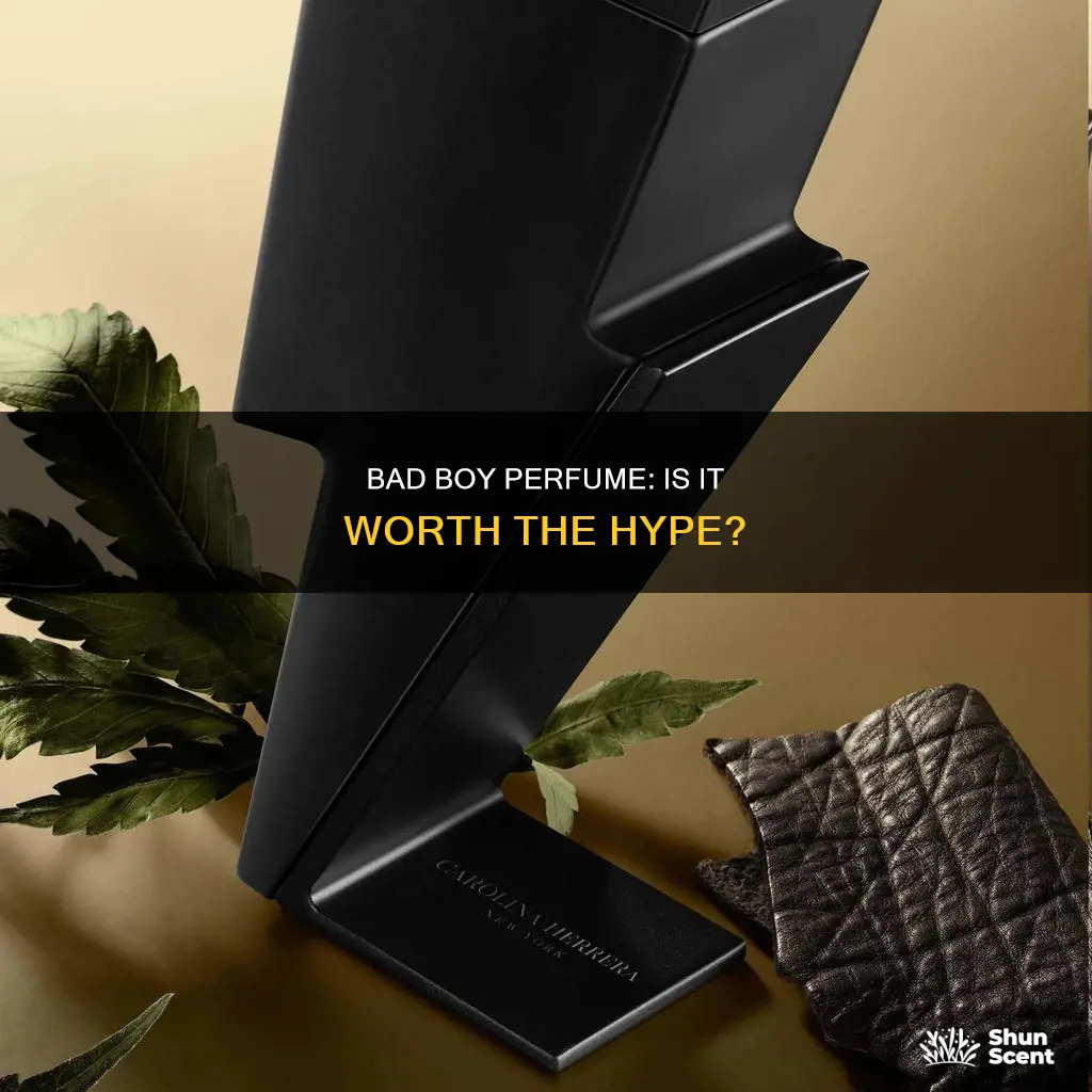 is bad boy perfume good