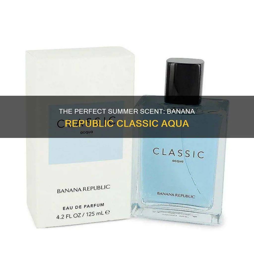 is banana republic classic aqua men