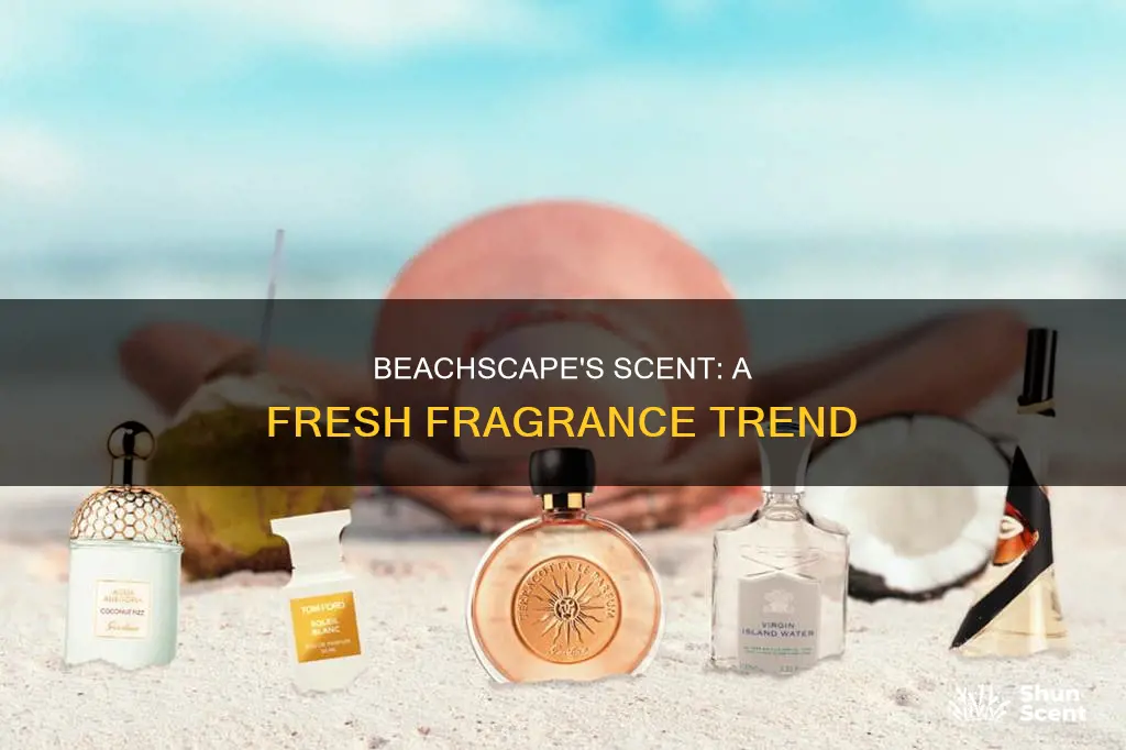 is beachscape a current fragrance