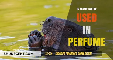 The Secret Ingredient in Perfumes: Beaver Castor