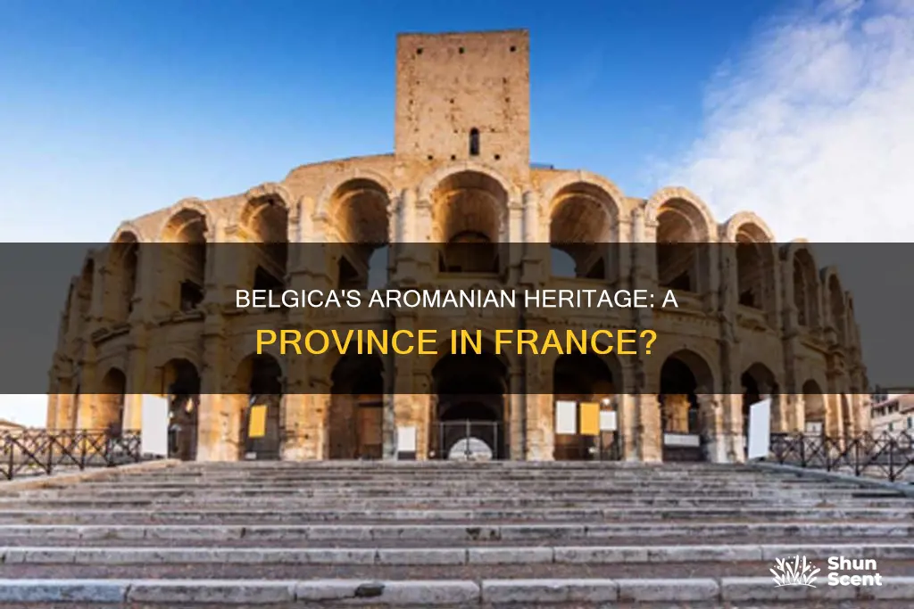 is belgica aroman province in france