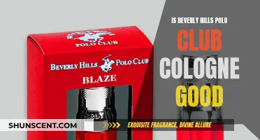 The Best Beverly Hills Polo Club Colognes