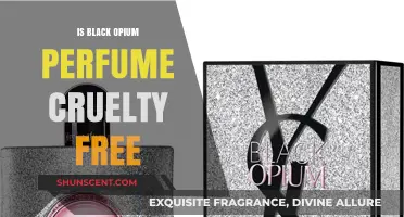 Black Opium: Cruelty-Free or Not?