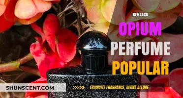 Black Opium: Is It Worth the Hype?