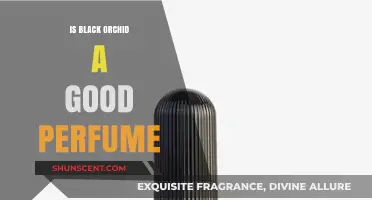 Black Orchid Perfume: Is It Worth the Hype?
