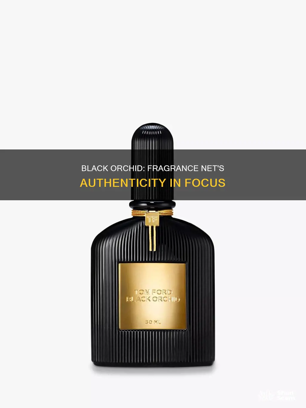 is black orchid from fragrance net authentic