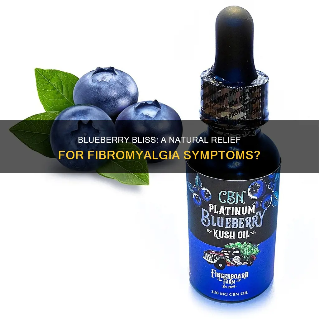 is blueberry fragrance oil good for fibromyalgia