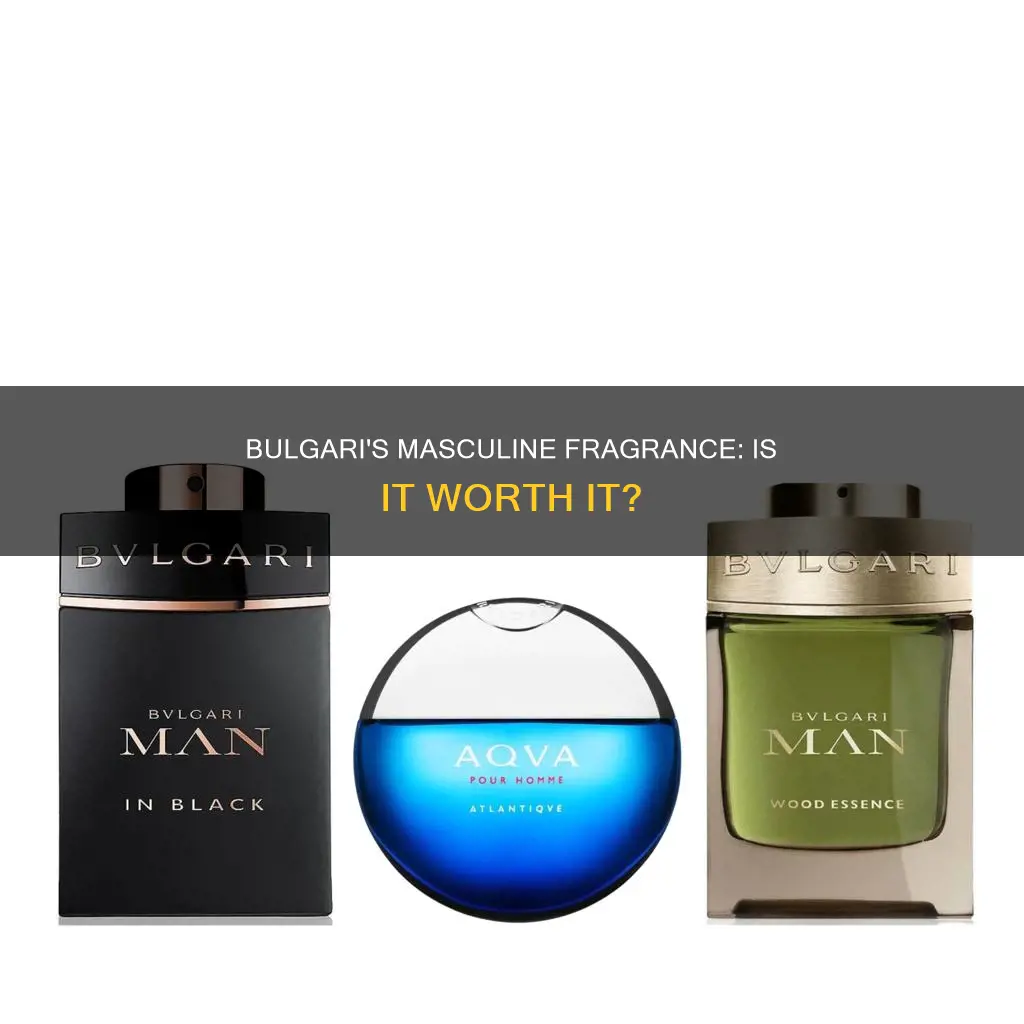 is blvgari perfume mens good