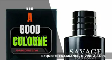 The Best BOD Cologne for Men: A Review