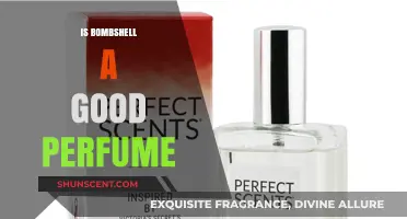 Bombshell Perfume: Is It Worth the Hype?