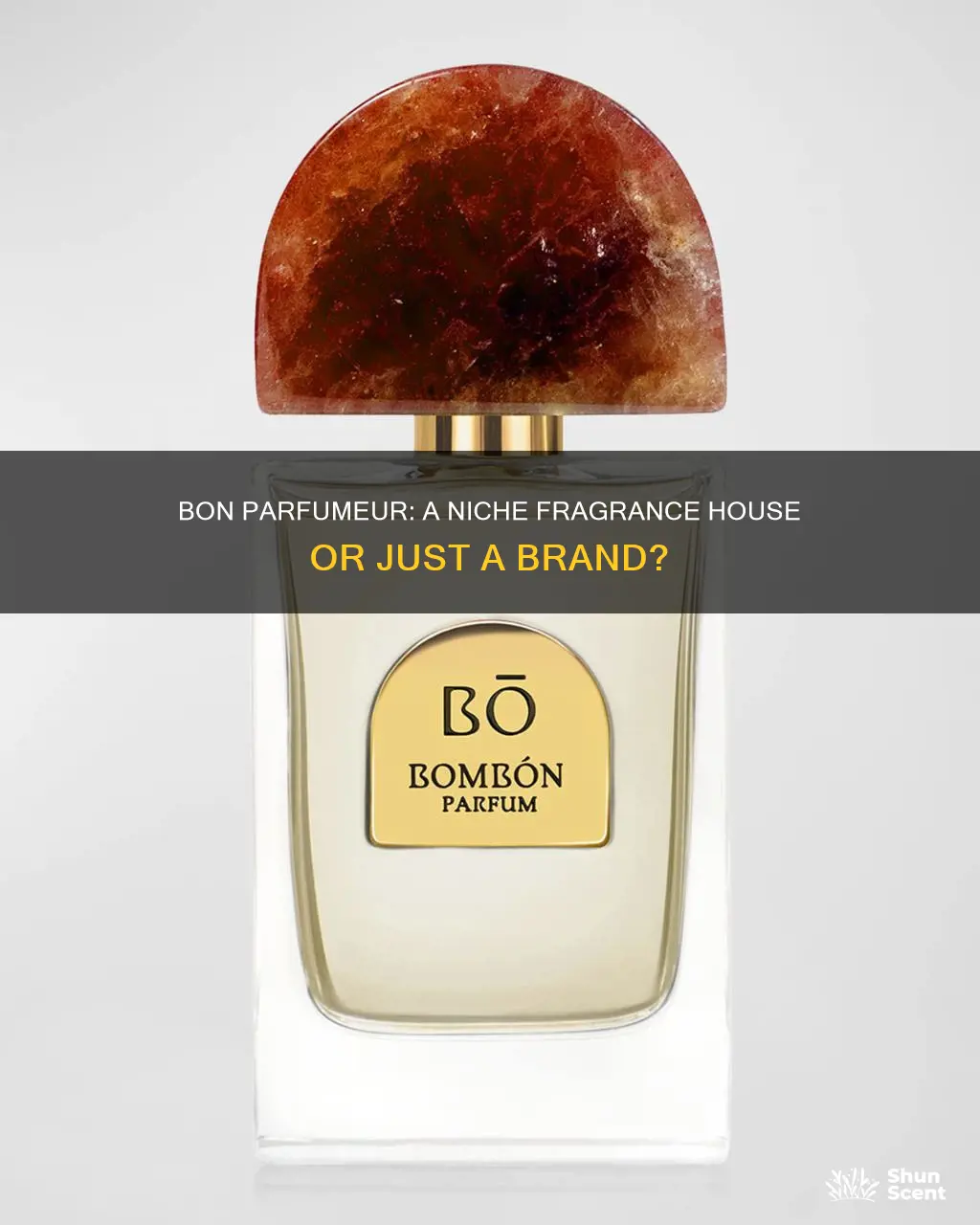 is bon parfumeur a fragrance house