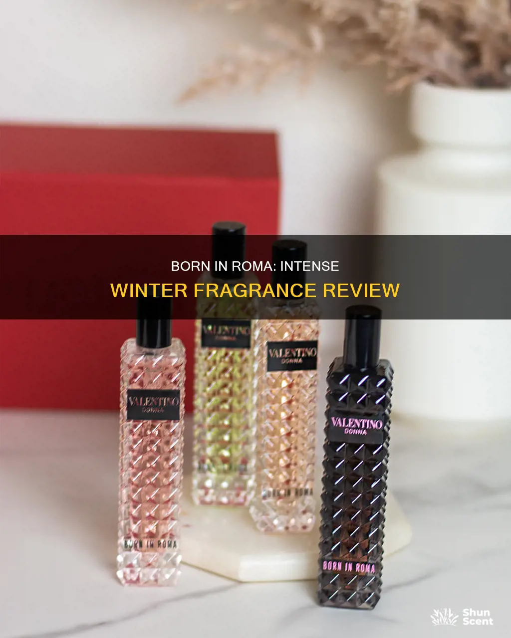 is born in roma intense a winter fragrance