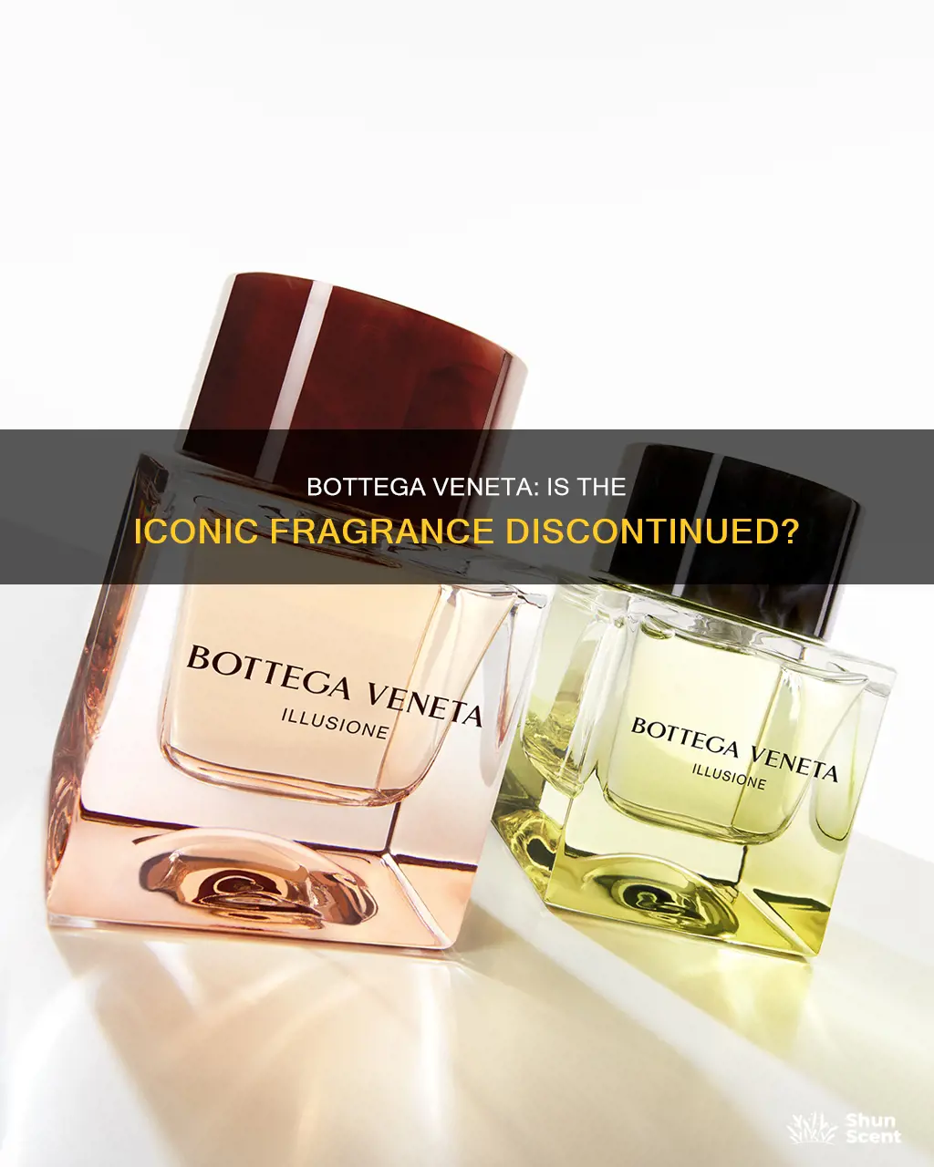 is bottega veneta perfume being discontinued