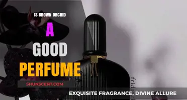 The Brown Orchid Perfume: Is it Worth the Hype?