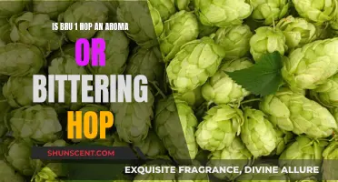 Exploring the Versatile BRU-1 Hop: Aroma or Bittering?