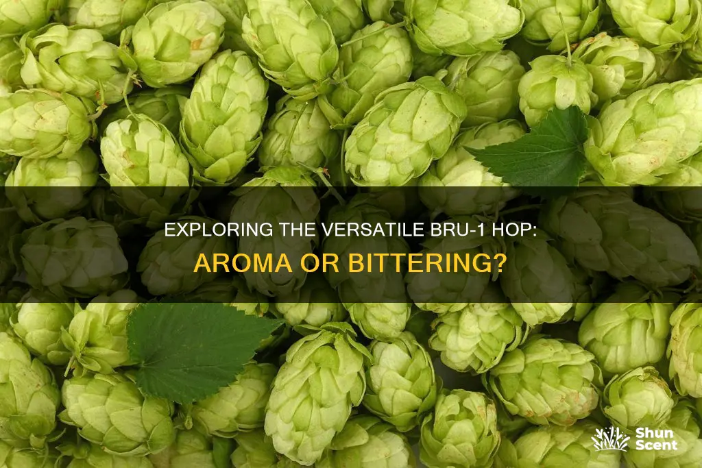 is bru 1 hop an aroma or bittering hop