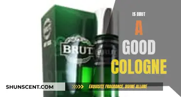 Brut Cologne: A Classic Scent Worth Buying?