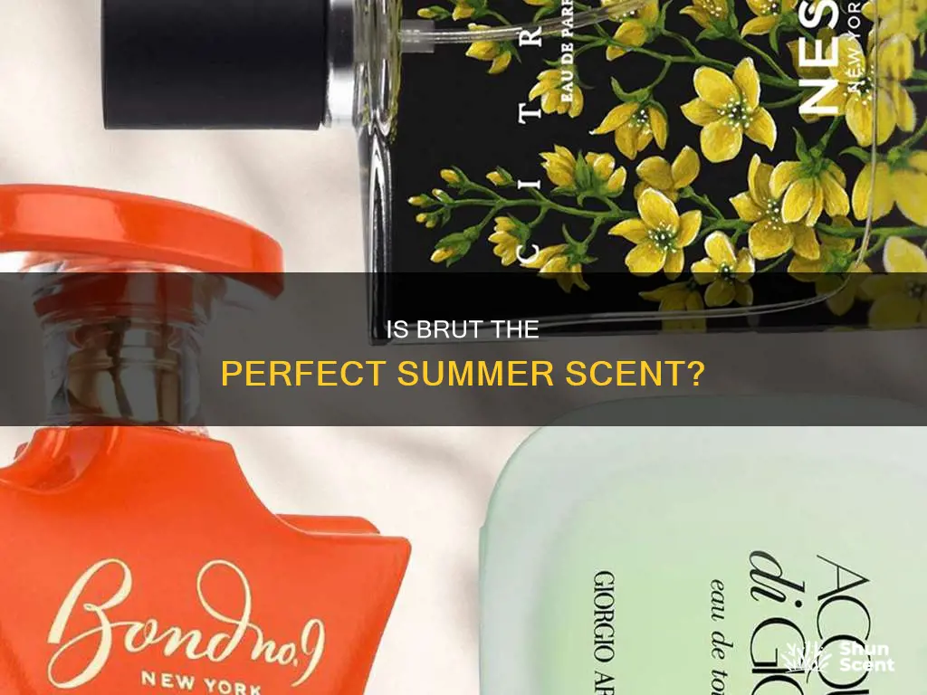 is brut a summer fragrance