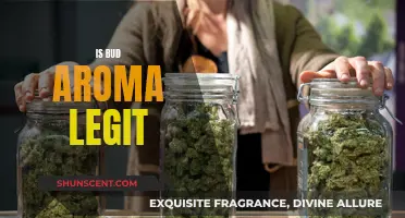 Bud Aroma — Legit or Scam?