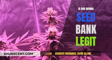 Bud Aroma Seed Bank — Legit or Scam?