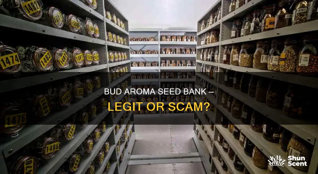 is bud aroma seed bank legit