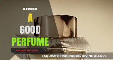 Burberry Perfume: Is It Worth the Hype?