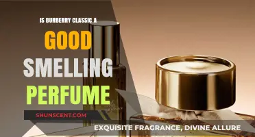 Burberry Classic: A Timeless Scent Worth Buying?