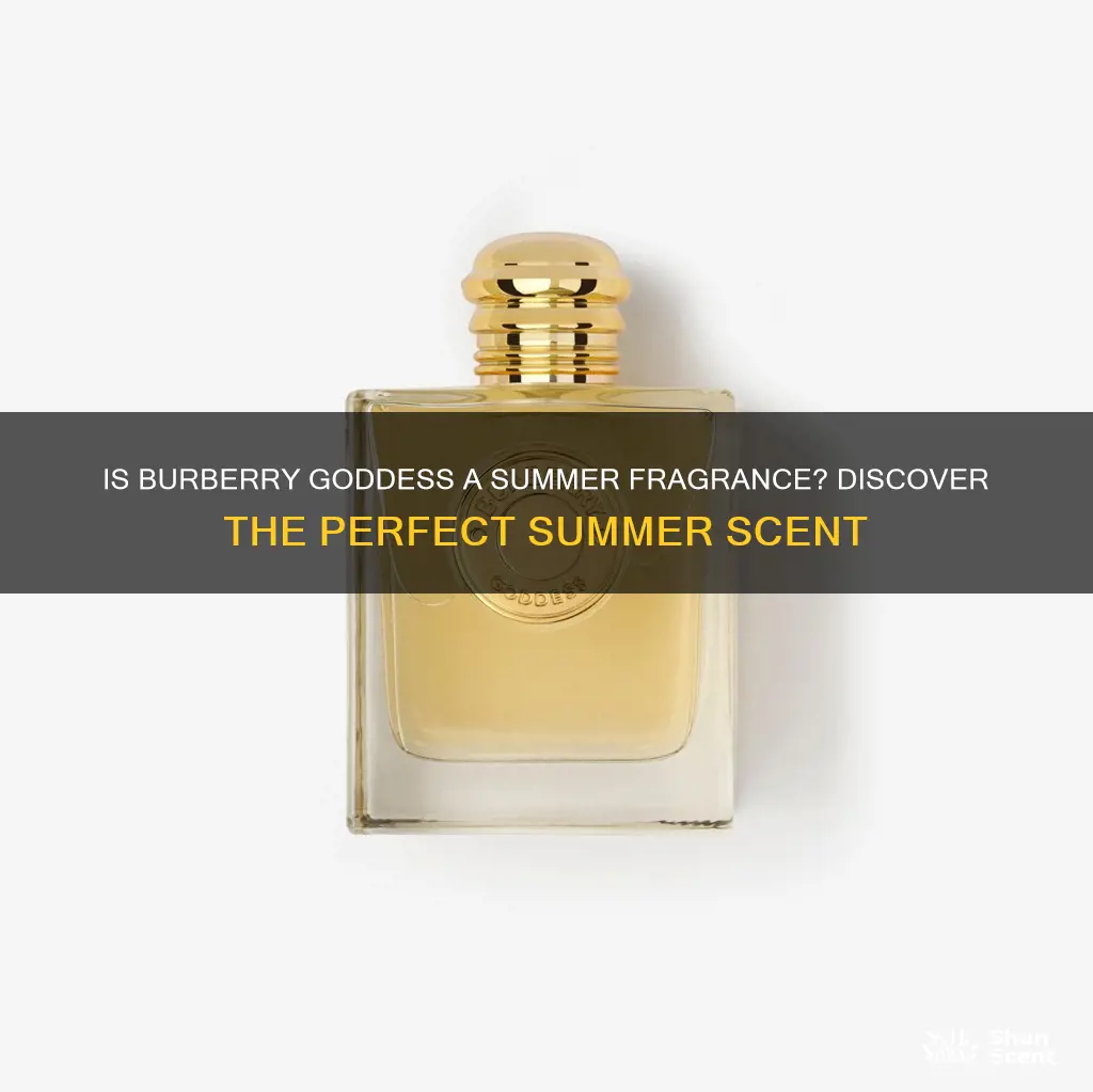 is burberry goddess a summer fragrance