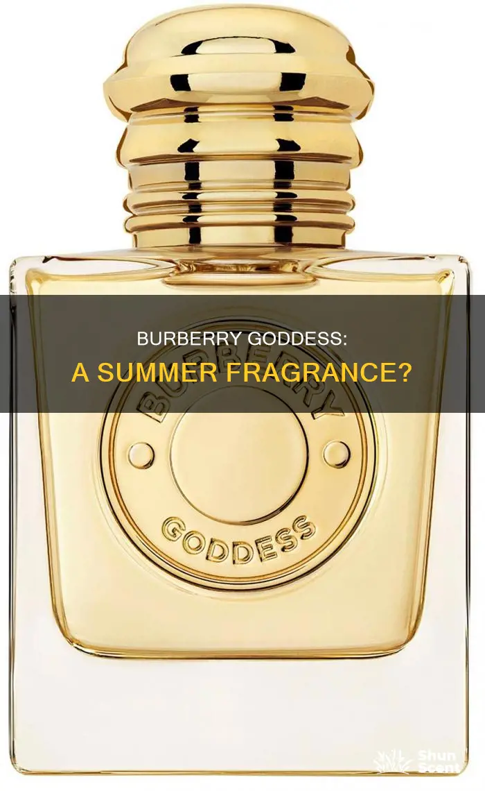 is burberry goddess a summer fragrance