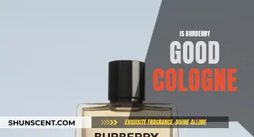 Burberry Cologne: Is It Worth the Hype?