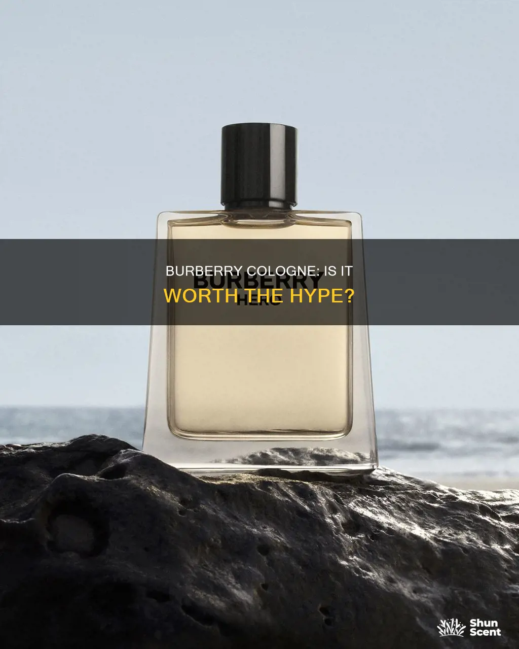 is burberry good cologne