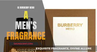 Burberry Hero: A Fresh, Masculine Scent for All?