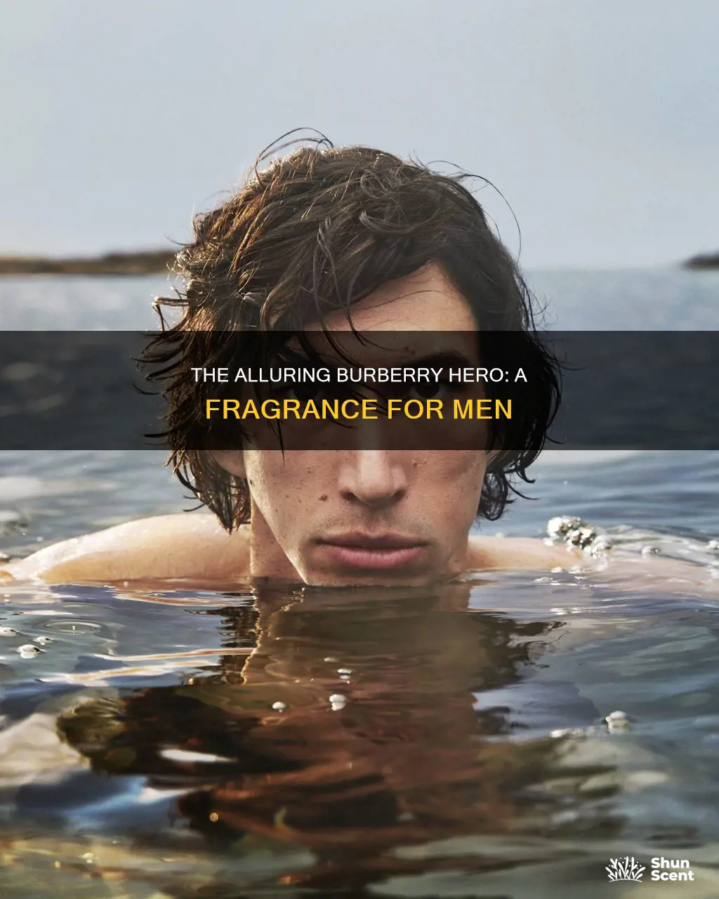 is burberry hero a men