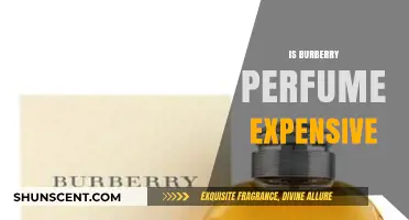 Burberry Perfume: Luxury or Affordable?