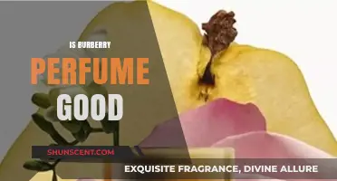 Burberry Perfume: Is It Worth the Hype?