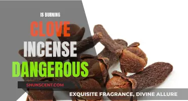 Clove Incense: Is Burning It a Health Risk?